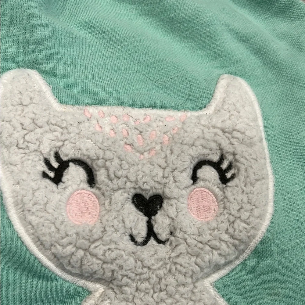 Cat & Jack Mint and Gray Cat Sweatshirt